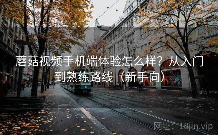 蘑菇视频手机端体验怎么样？从入门到熟练路线（新手向）