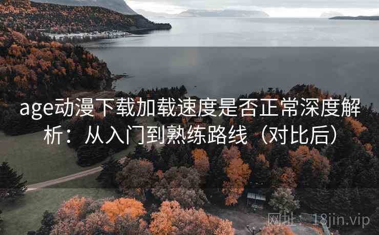 age动漫下载加载速度是否正常深度解析：从入门到熟练路线（对比后）