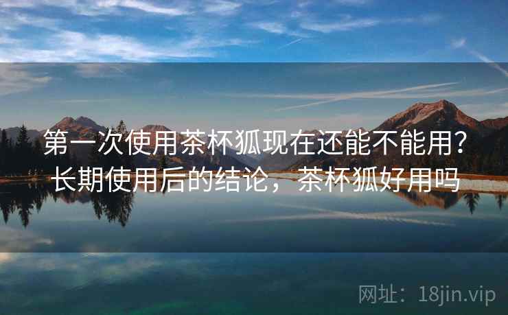 第一次使用茶杯狐现在还能不能用？长期使用后的结论，茶杯狐好用吗