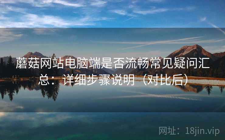 蘑菇网站电脑端是否流畅常见疑问汇总：详细步骤说明（对比后）