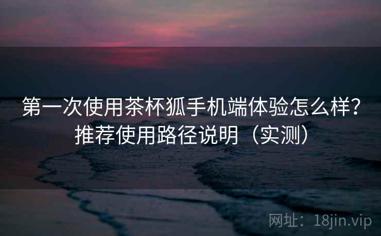 第一次使用茶杯狐手机端体验怎么样？推荐使用路径说明（实测）