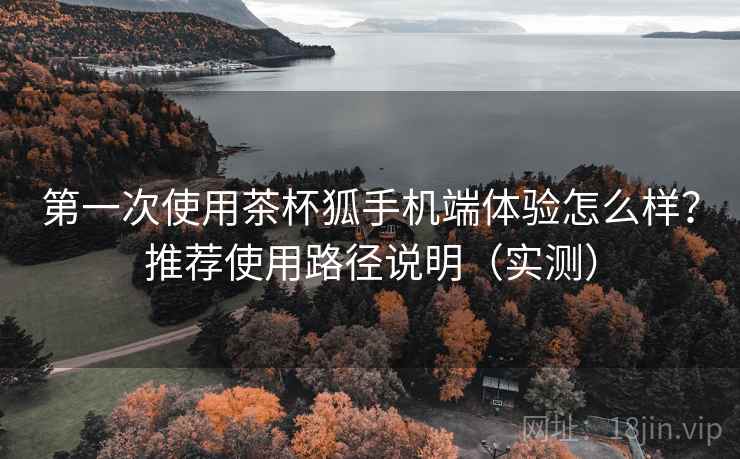 第一次使用茶杯狐手机端体验怎么样?推荐使用路径说明(实测) 第一次使用茶杯狐手机端体验怎么样?推荐使用路径说明(实测)