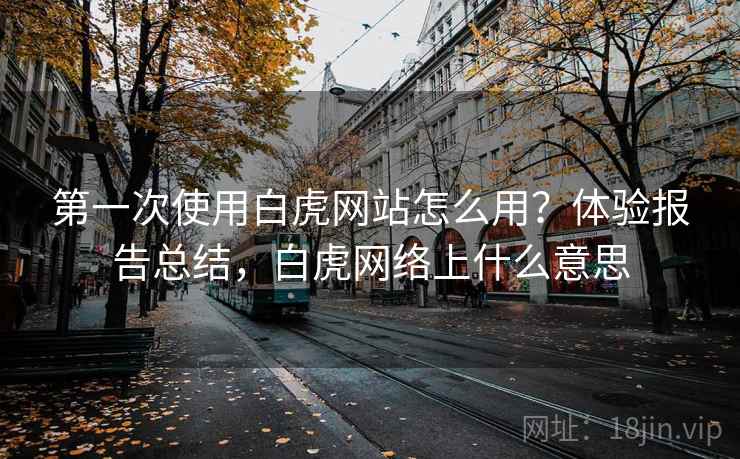 第一次使用白虎网站怎么用？体验报告总结，白虎网络上什么意思