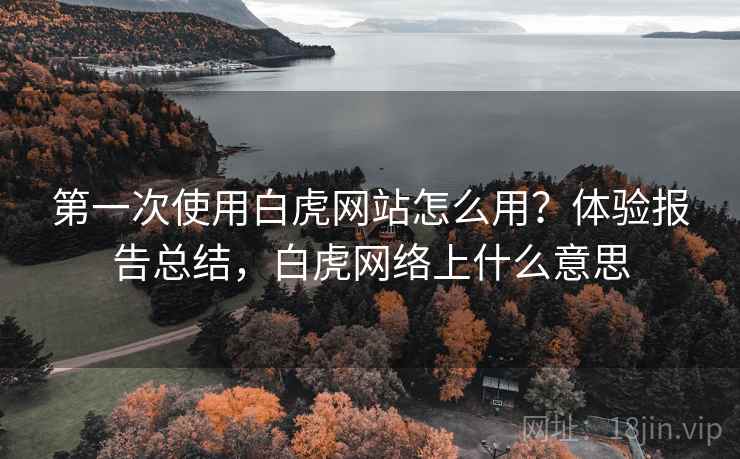 第一次使用白虎网站怎么用？体验报告总结，白虎网络上什么意思